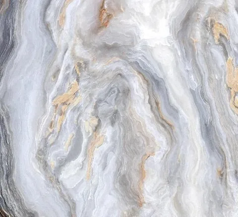 1010640019
